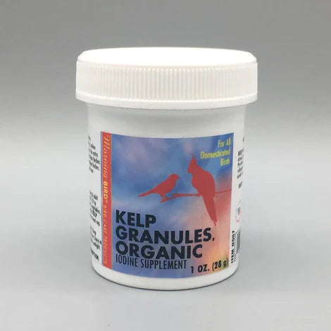 Morning Bird Kelp Granules (1 oz)