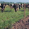 Rangemaster High Tensile Hinge Joint Field Fence