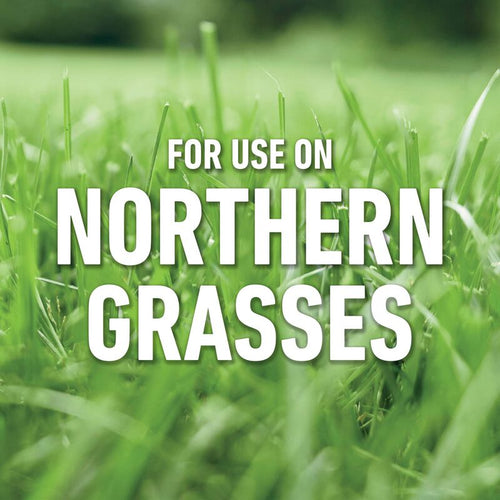 Roundup® for Northern Lawns